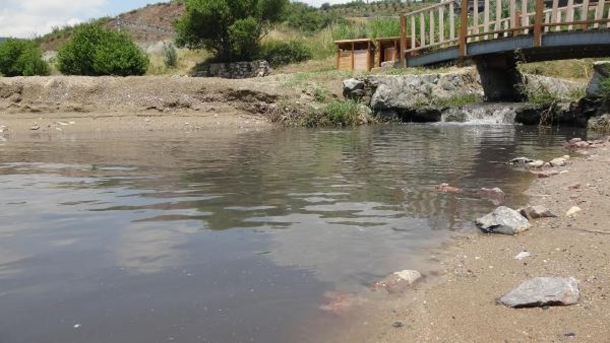 Kocaeli'de derenin kirlettiği plajda yüzdüler