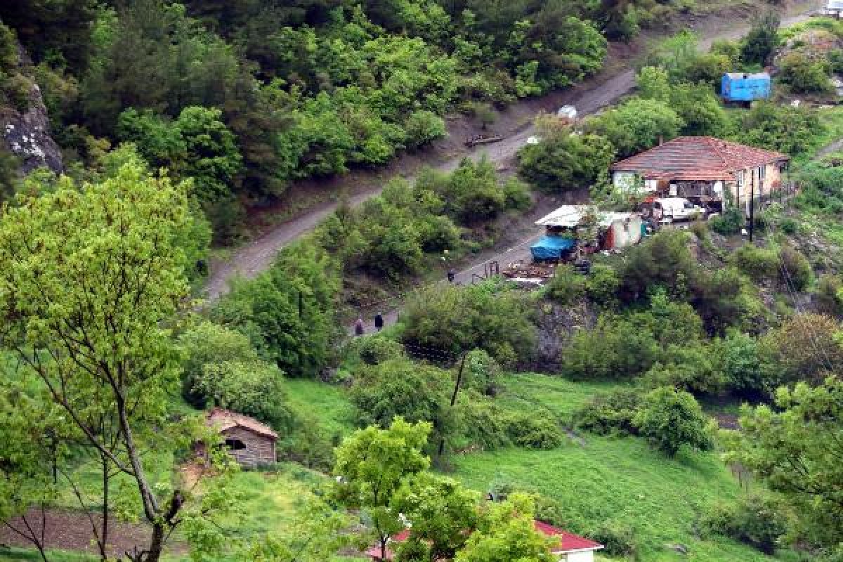 d Ecrin'in ölümüyle ilgili 6 kişiye gözaltı kararı