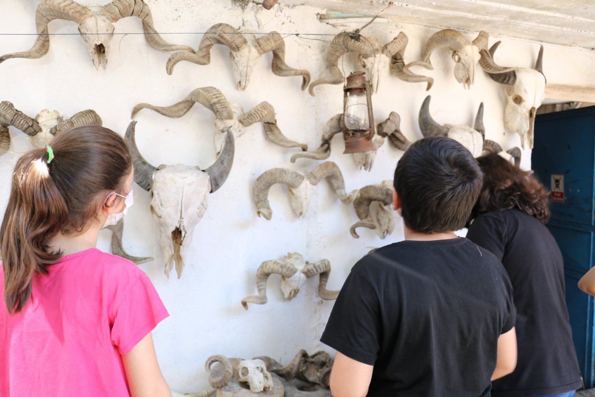 Kahramanmaraşlı paça ustası mesleğini sanata dönüştürdü