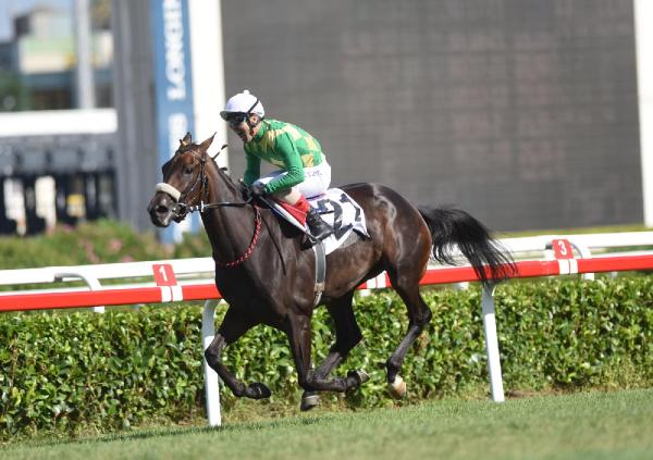 93. Gazi Koşusu'nu The Last Romance kazandı