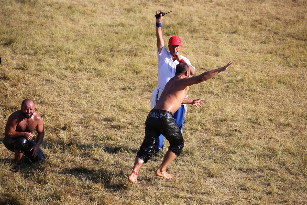 Kırkpınar Güreşleri'nde Ali Gürbüz başpehlivan oldu