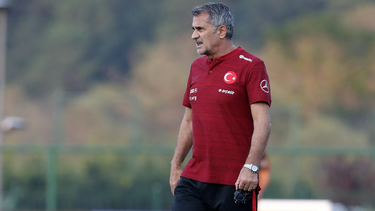 Şenol Güneş: Aile olmak istemeyenler var