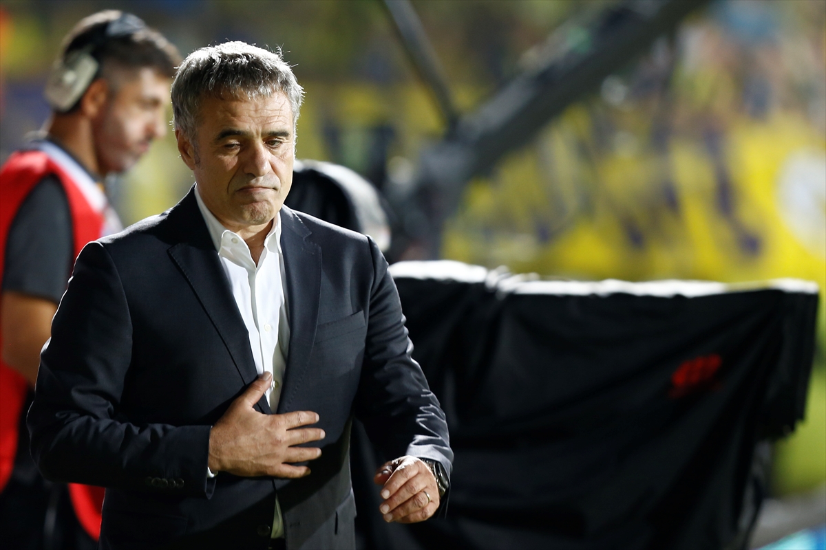 a Ersun Yanal: Bahanemiz de çekincemiz de yok