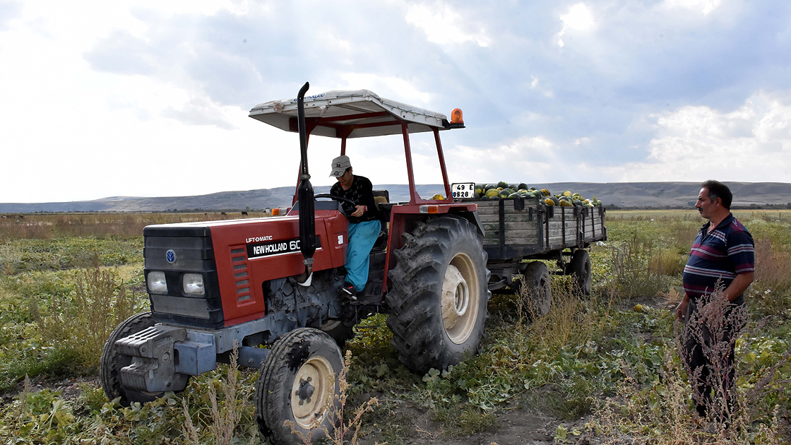 Mihriban, kavun tarlasından Avrupa Şampiyonası'na koşuyor