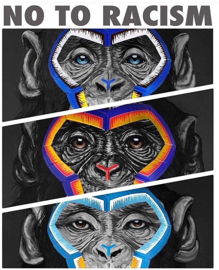 İtalya'daki ırkçılık karşıtı afişler tepki topladı