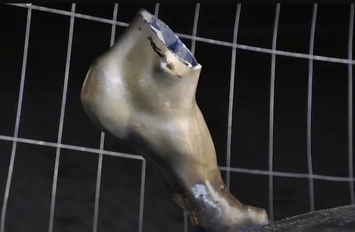 Ibrahimovic'in heykeli yıkıldı