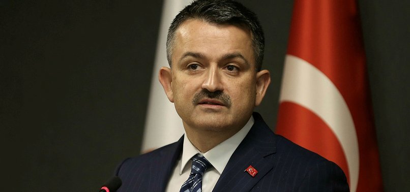 At yarışları ertelendi