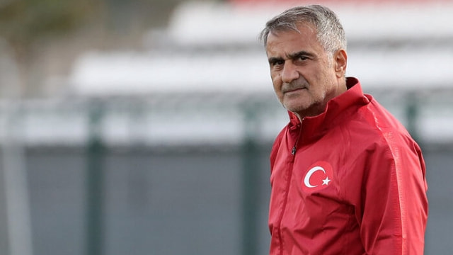 Şenol Güneş, Ferdi'yi milli takıma istiyor