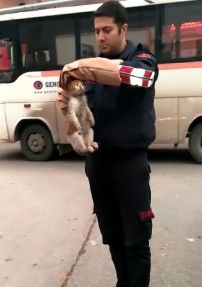 Mahsur kalan kedi ve köpeğin imdadına itfaiye yetişti