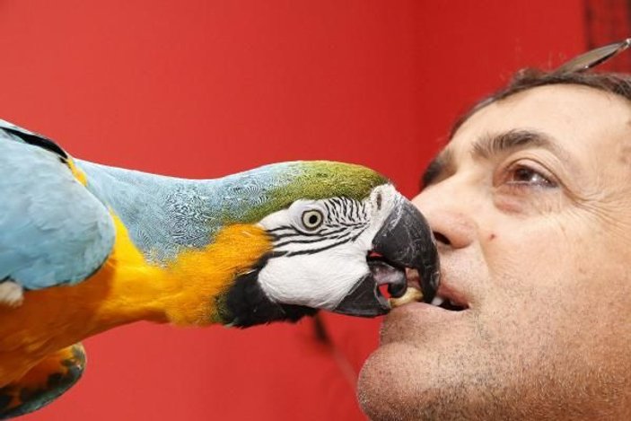 Turgut Özal'ın papağanı Cabbar'a eş aranıyor