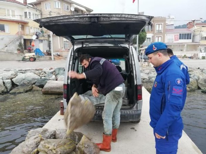 Jandarma ekiplerinden kaçak midye baskını