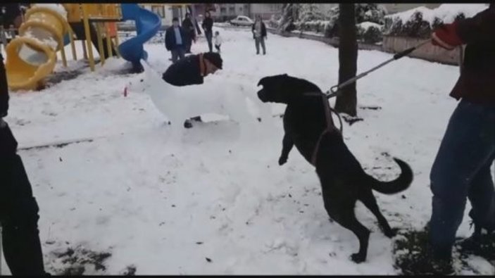 Kardan köpeği gerçek sanan köpek havlamaya başladı