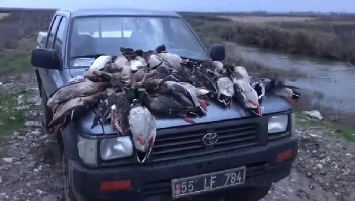 37 yaban ördeğini öldüren avcılara 22 bin 595 lira ceza