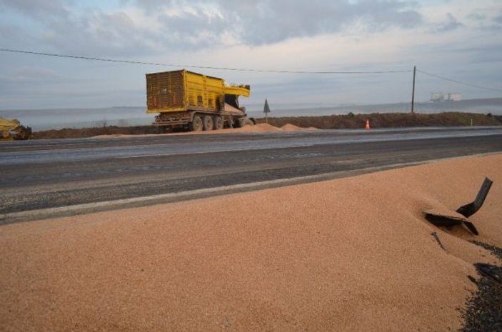 Tekirdağ'da kamyonlar çarpıştı yol buğday tarlasına döndü