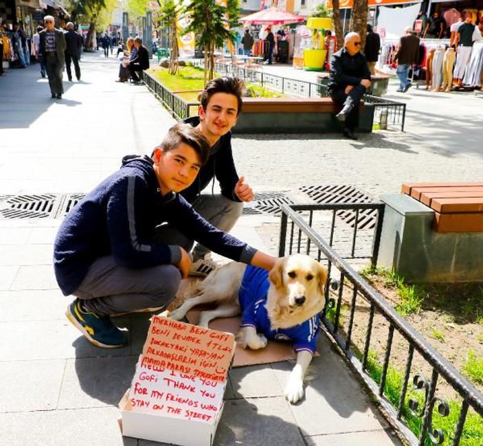 Köpeği Gofi ile birlikte diğer hayvanları besliyor