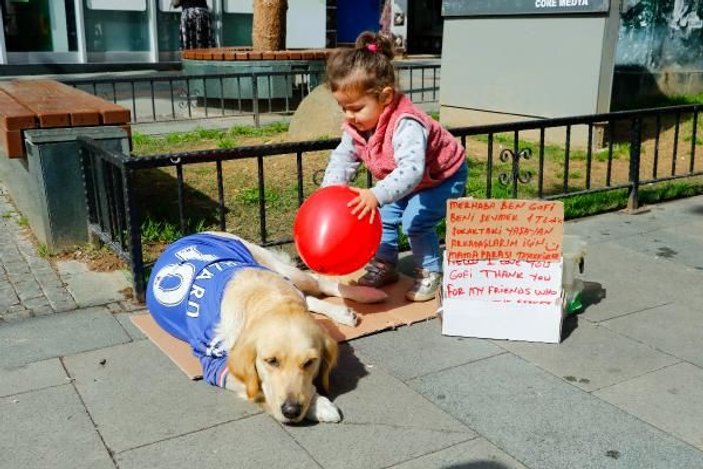 Köpeği Gofi ile birlikte diğer hayvanları besliyor