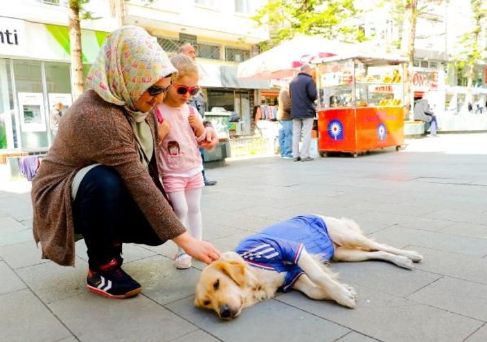 Köpeği Gofi ile birlikte diğer hayvanları besliyor