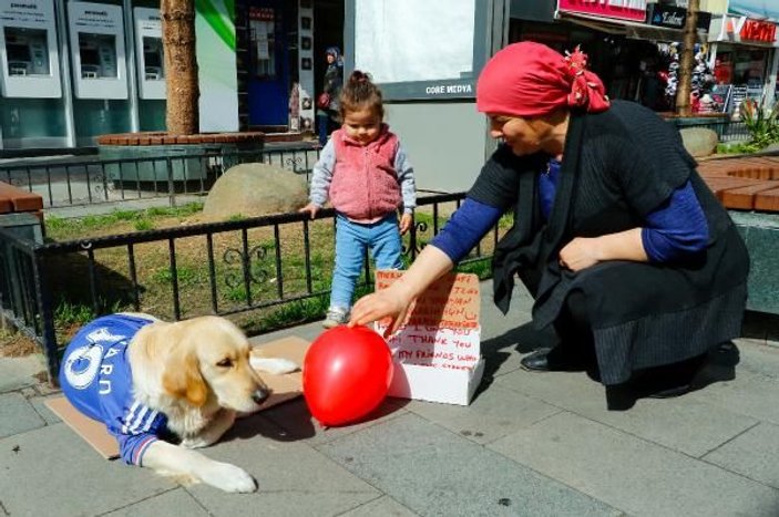 Köpeği Gofi ile birlikte diğer hayvanları besliyor