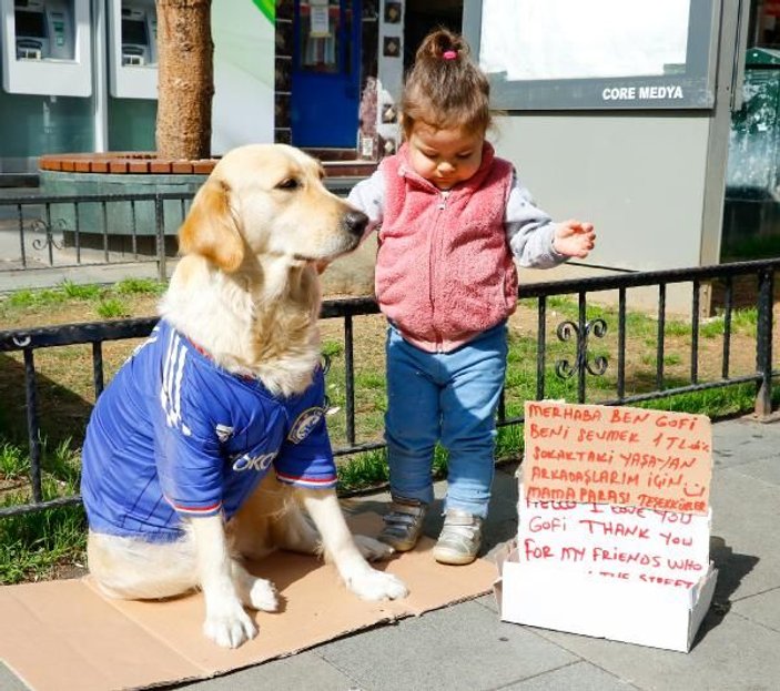 Köpeği Gofi ile birlikte diğer hayvanları besliyor