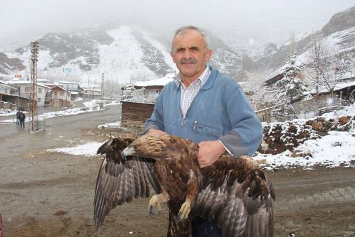 Yaralı kartala sahip çıktılar