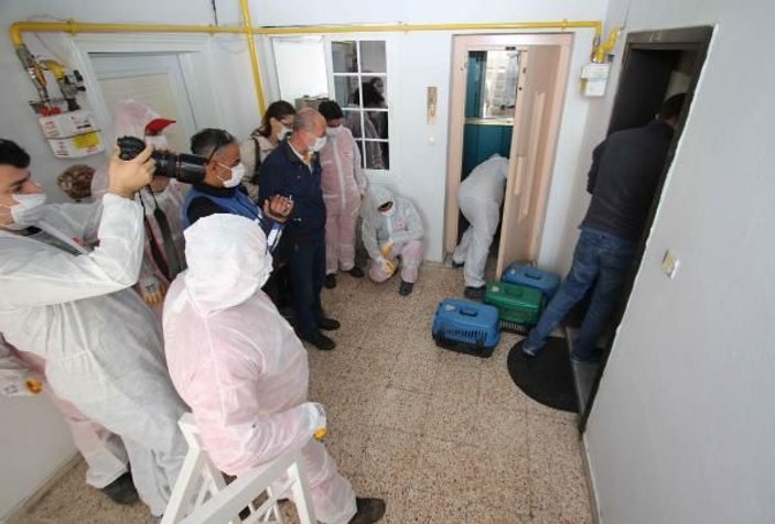 İzmir'de apartman dairesinden 54 hayvan çıktı