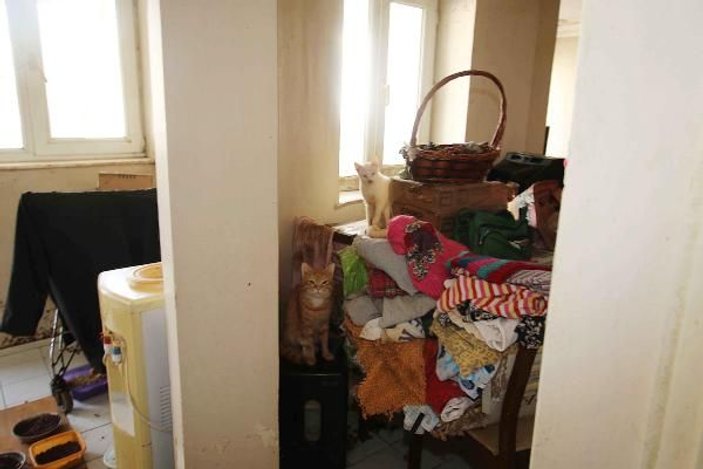 İzmir'de apartman dairesinden 54 hayvan çıktı
