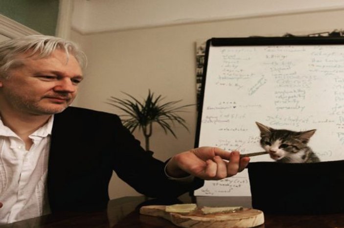 Assange’ın avukatı: Kedi James kurtarıldı