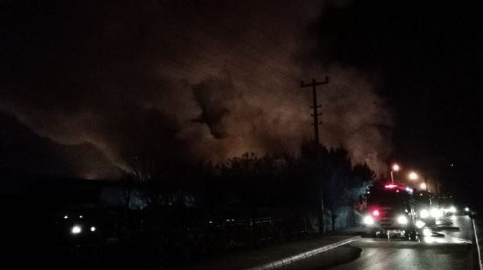 Kocaeli’de belediyeye ait depoda yangın