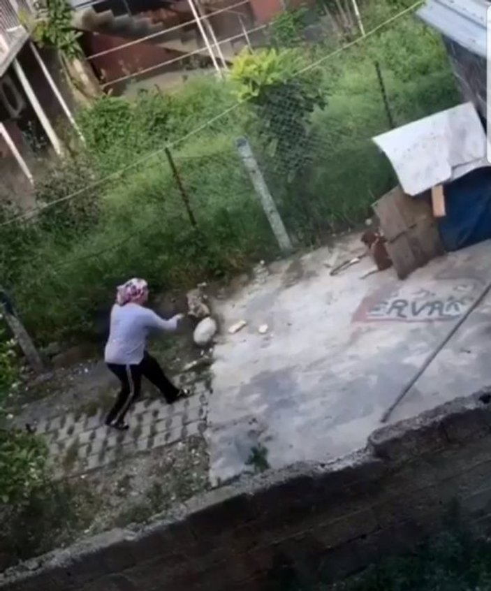 Köpekle kavga eden kadın
