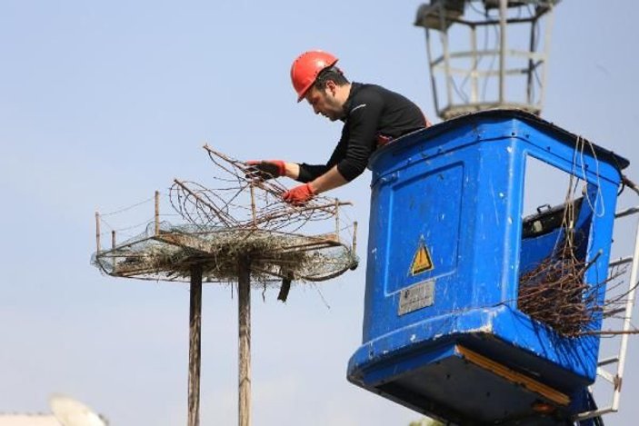 İzmir'de belediye leylek yuvalarını onardı
