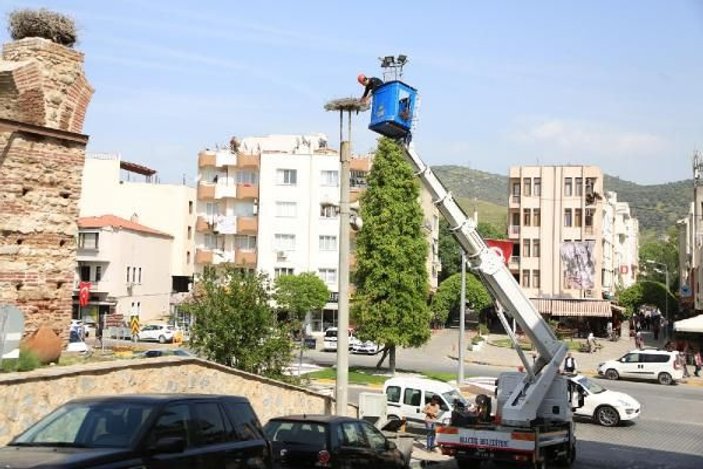İzmir'de belediye leylek yuvalarını onardı