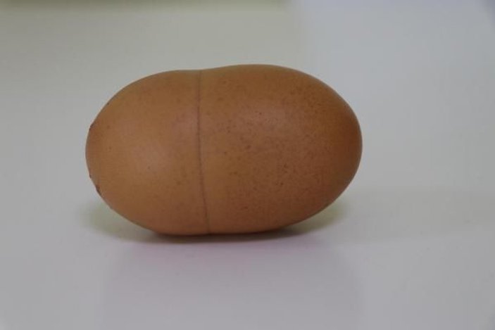 112 gramlık tek yumurtaya 100 lira verdi