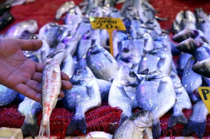 Samsun'da ete zam gelince balık fiyatları düştü