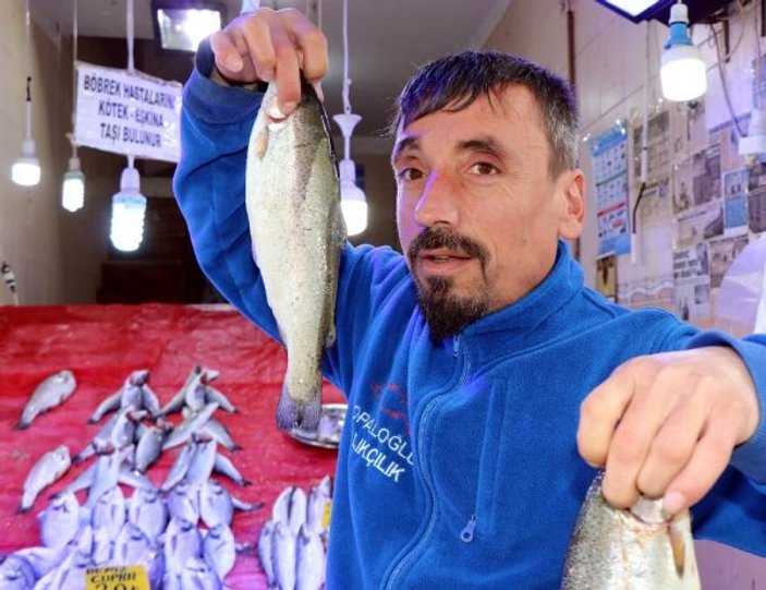 Samsun'da ete zam gelince balık fiyatları düştü
