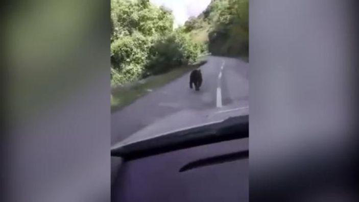 Kosova’da gündem ayı