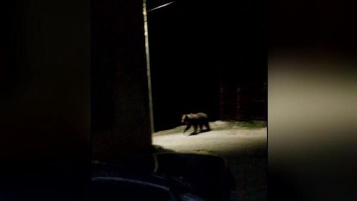 Kosova’da gündem ayı