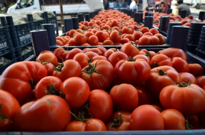Adana’da domates ve salatalığın kilosu 1 liraya düştü