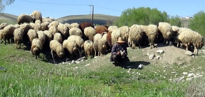 Kırgız çoban günde bir kitap bitiriyor