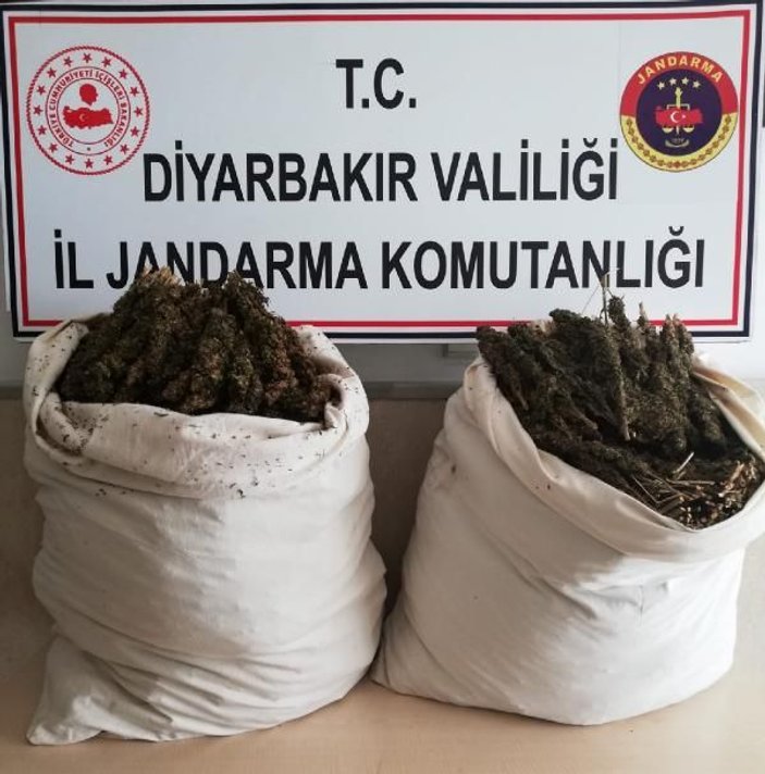 Diyarbakır'da 47 kilo esrar yakalandı