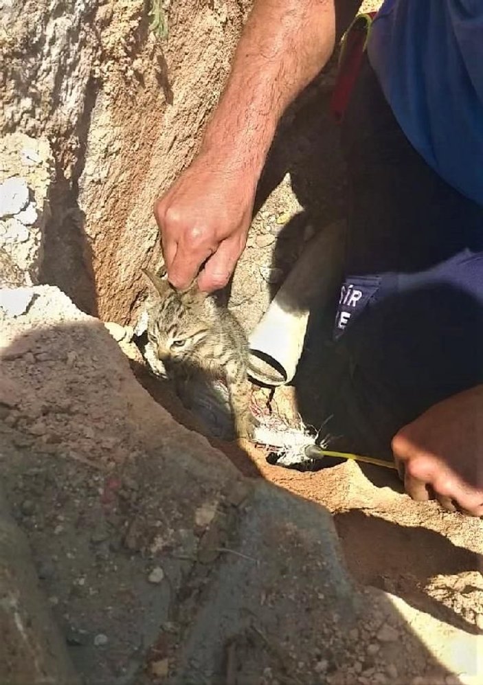 Balıkesir'de su borusuna sıkışan yavru kedi kurtarıldı