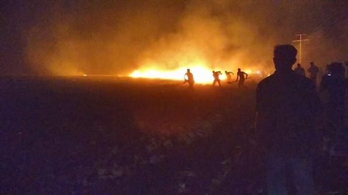 Şanlıurfa'da tarım alanına düşen yıldırım yangın çıkardı