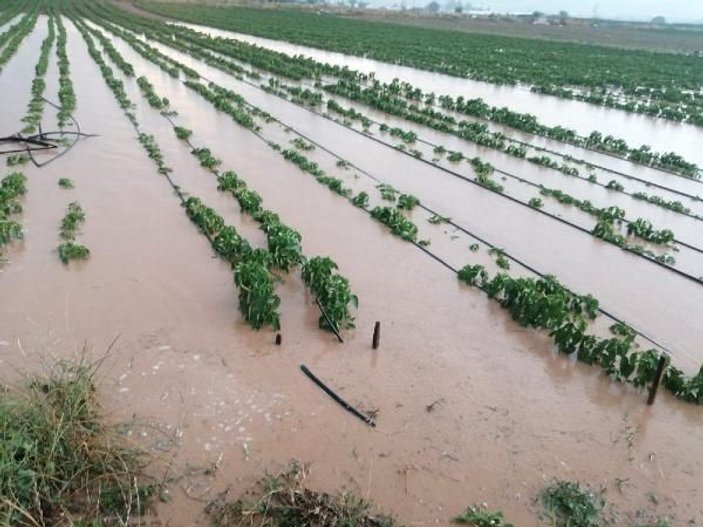 Yenişehir Ovası'nda 70 bin dönüm ekili alan su altında