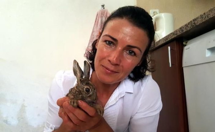 Hayatını kurtardığı tavşanı keçi sütüyle besliyor