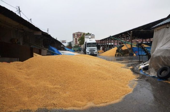 Malatya'da buğday pazarında yağmur zarara yol açtı