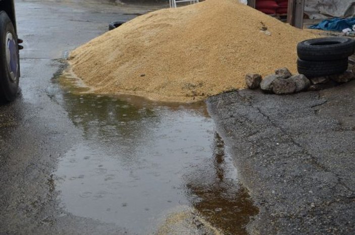 Malatya'da buğday pazarında yağmur zarara yol açtı