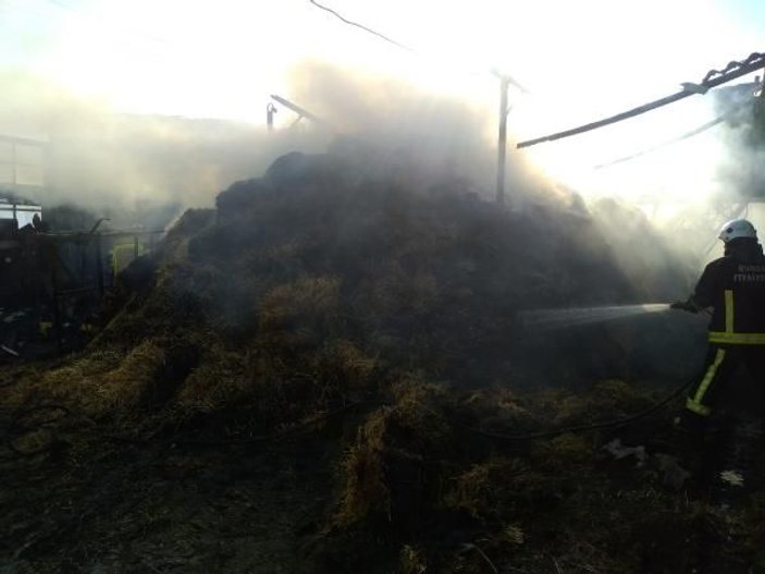 Bursa'da 40 büyükbaşın bulunduğu ahırda yangın çıktı