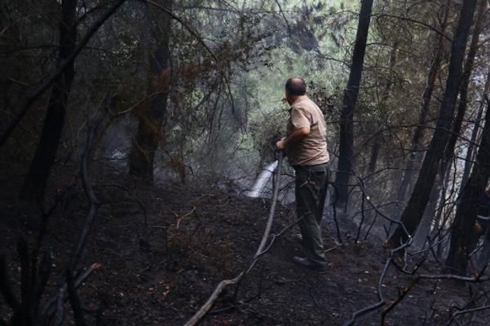 Osmaniye'de 2 hektar kızılçam alan yandı