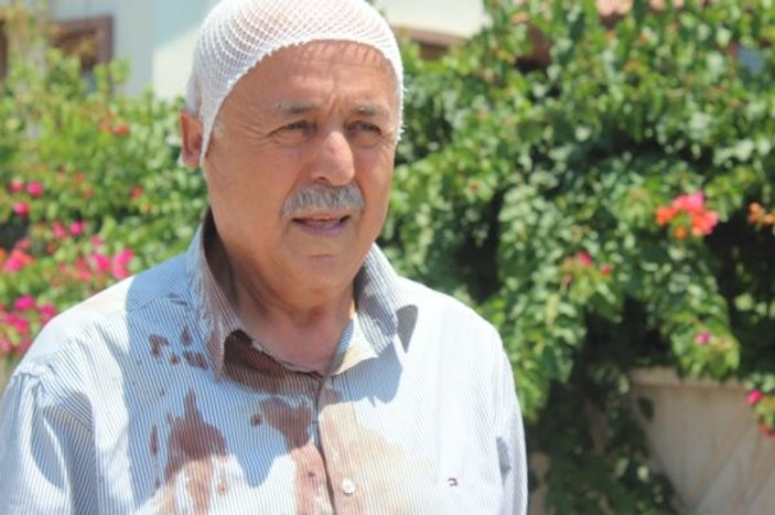Antalya'da yaşlı adamın kalçasından köpek ısırdı
