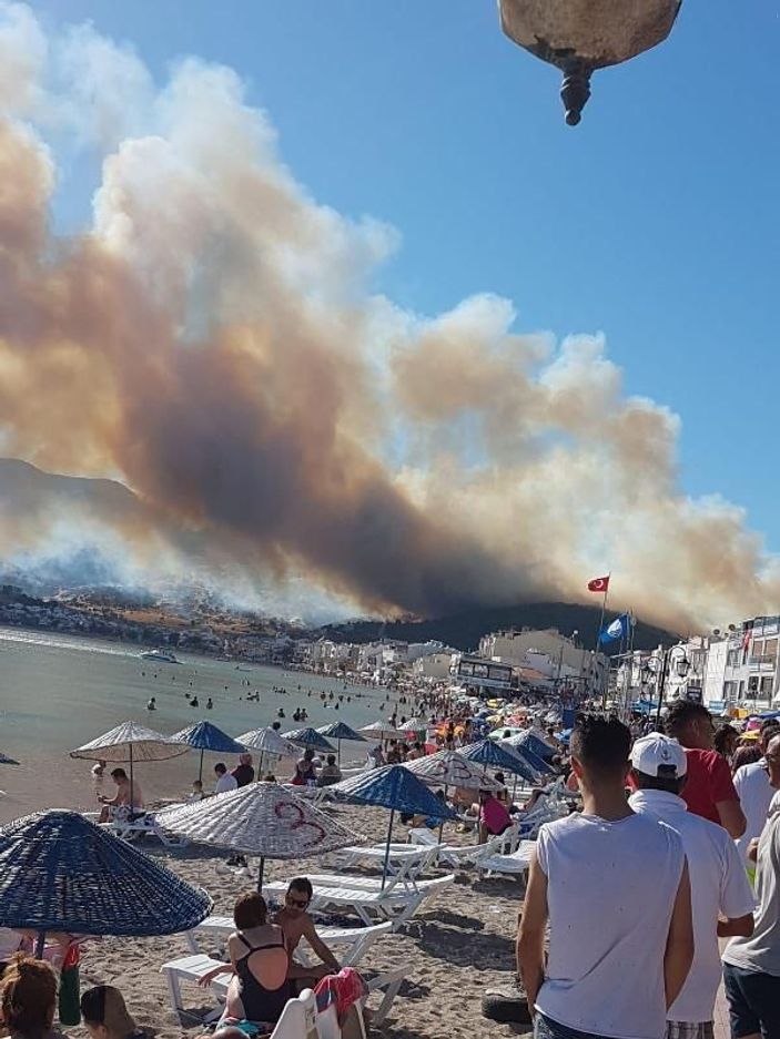 İzmir'de orman yangını
