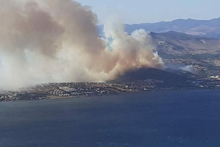 İzmir'de orman yangını